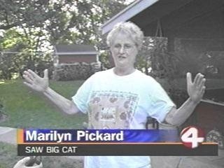 bigcat